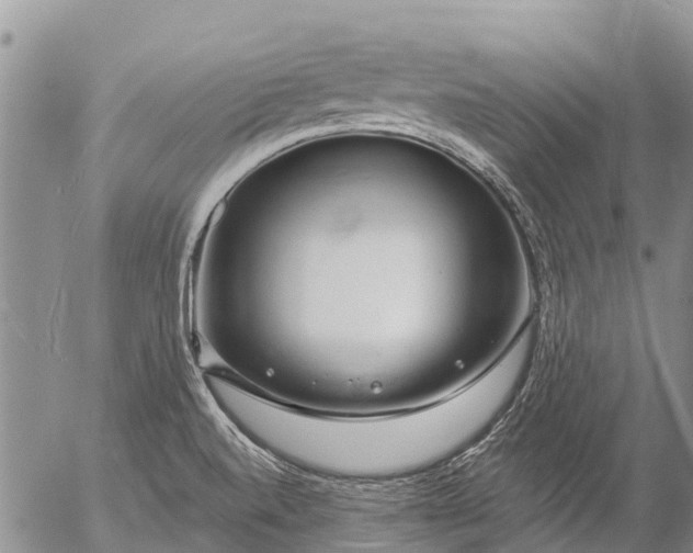 X0000057091520200509161616