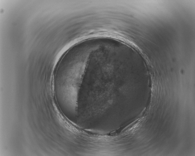 X0000057091522200509161616