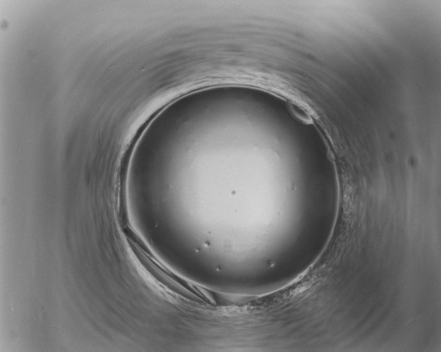 X0000057091523200509161616