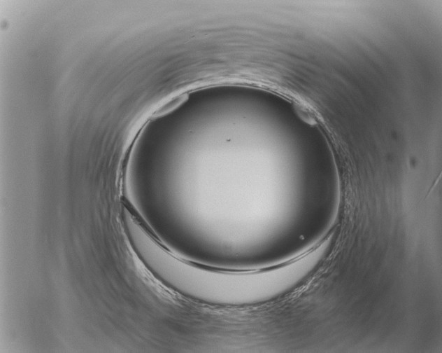 X0000057091524200509161616