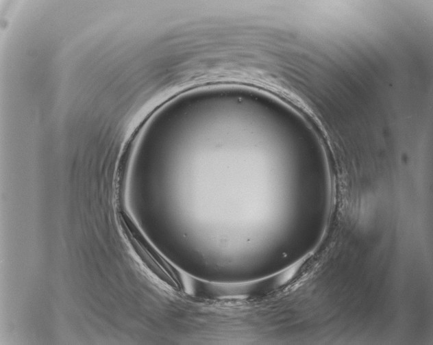 X0000057091525200509161616