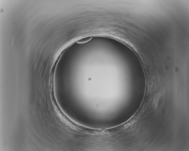 X0000057091526200509161616