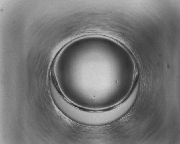 X0000057091527200509161616