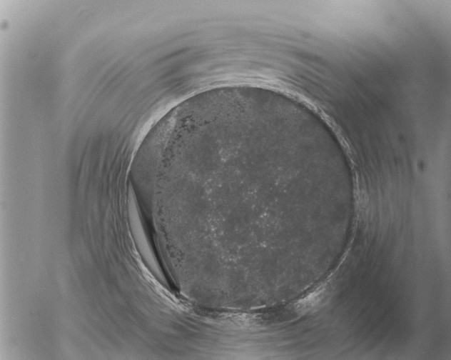 X0000057091529200509161616