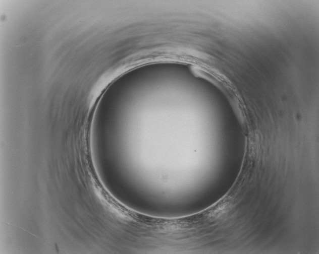 X0000057091530200509161616