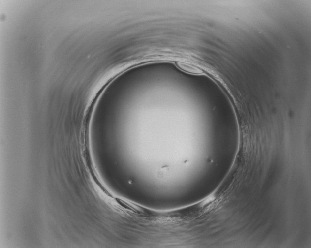 X0000057091531200509161616