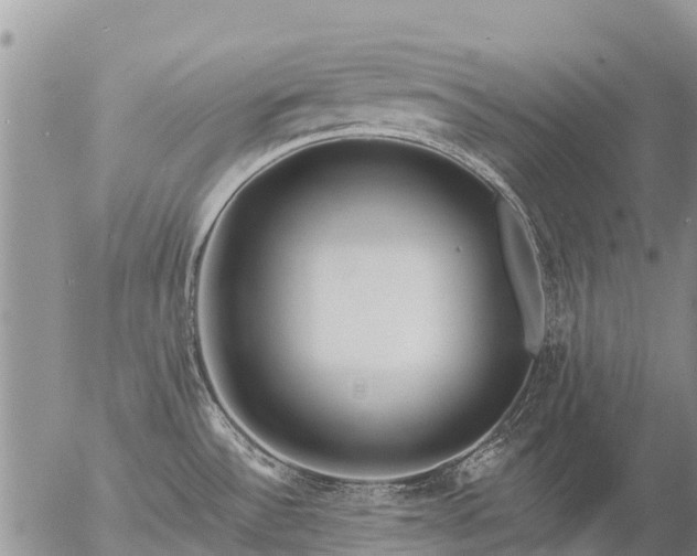 X0000057091532200509161616