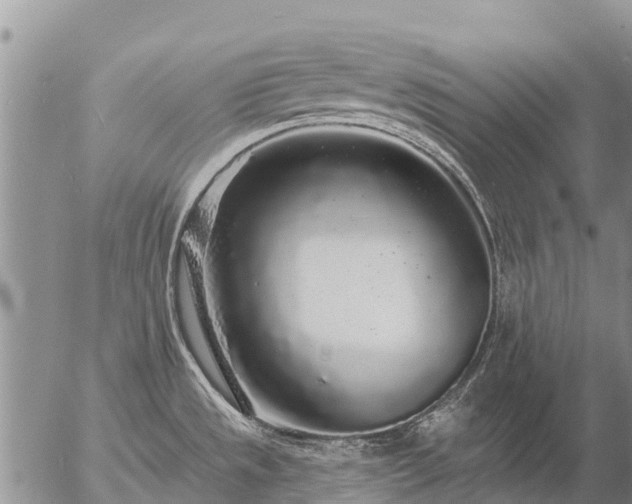 X0000057091533200509161616