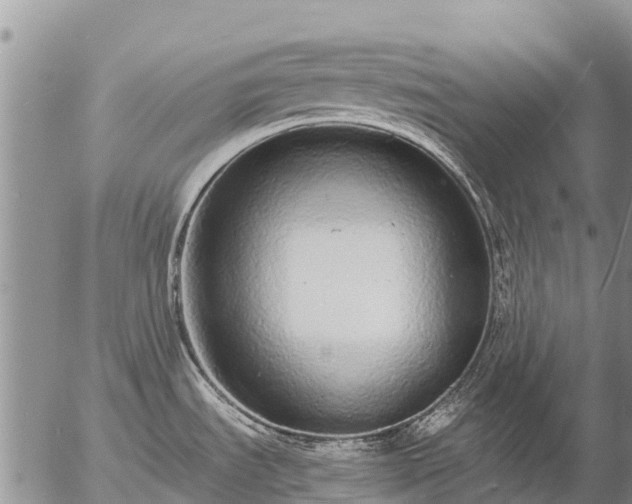 X0000057091535200509161616