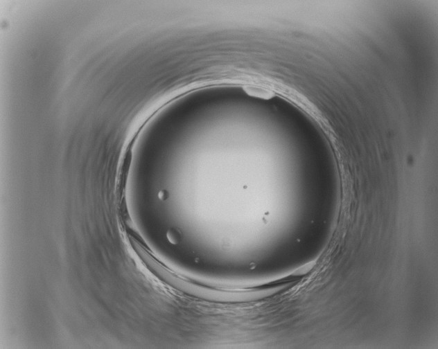 X0000057091536200509161616