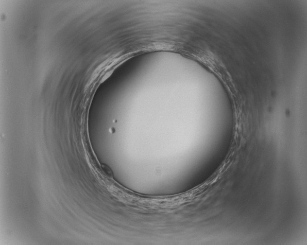 X0000057090001200509231702