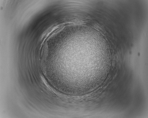 X0000057090002200509231702