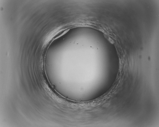 X0000057090005200509231702