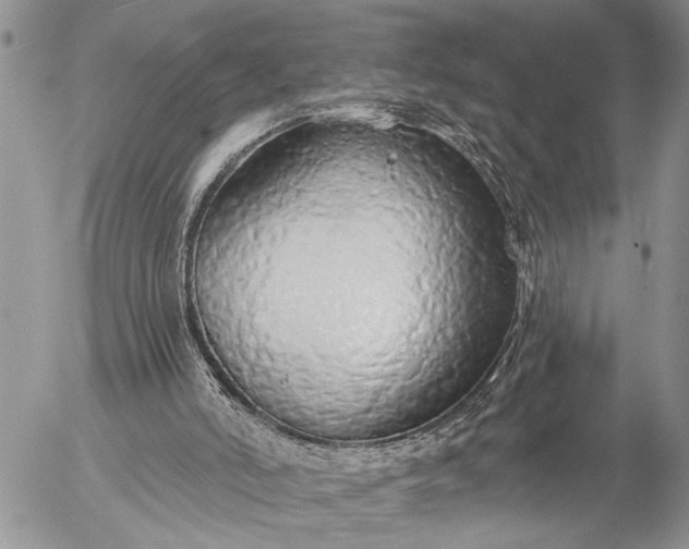 X0000057090006200509231702