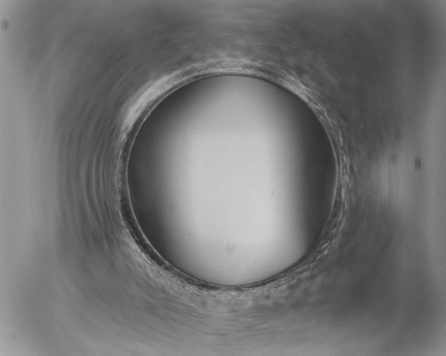 X0000057090007200509231702