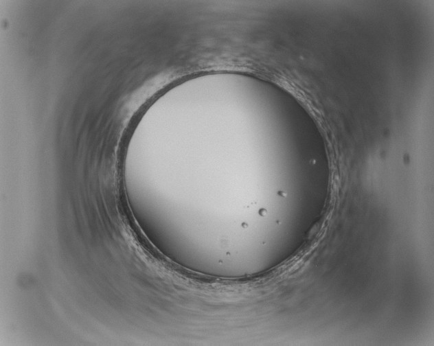 X0000057090008200509231702