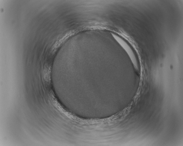 X0000057090009200509231702