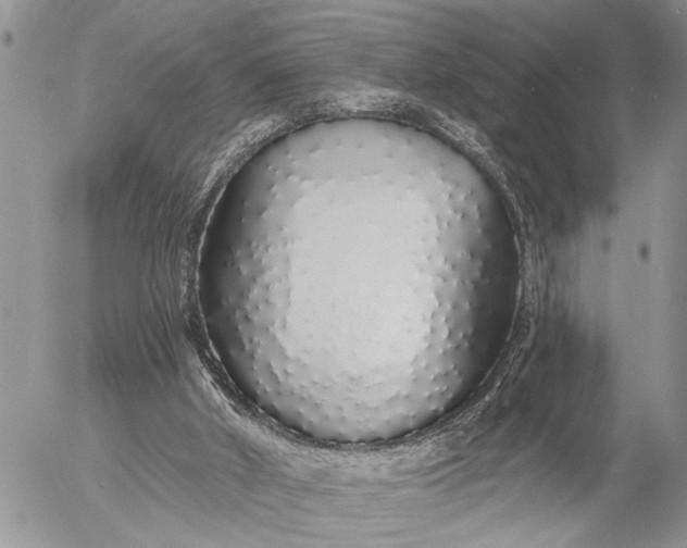 X0000057090010200509231702