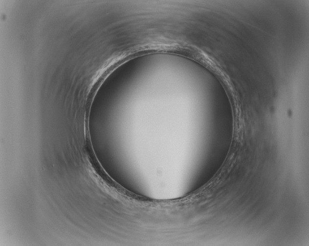 X0000057090011200509231702