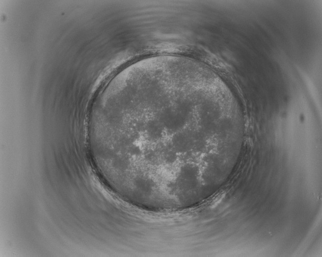 X0000057090012200509231702