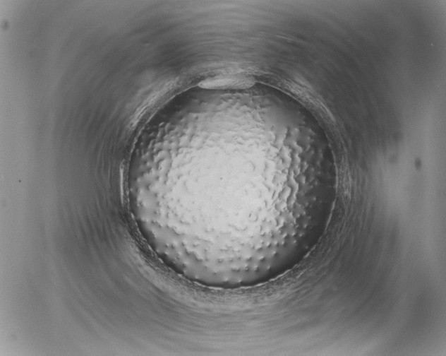 X0000057090014200509231702