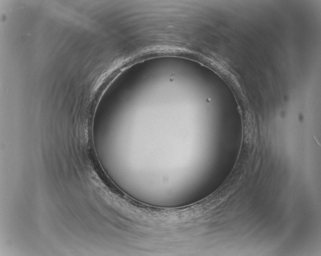 X0000057090015200509231701