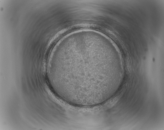 X0000057090016200509231701