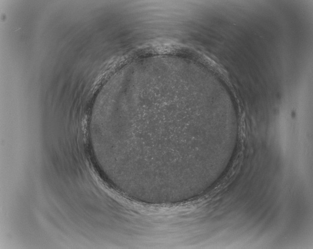 X0000057090018200509231701