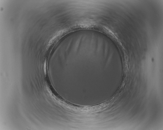 X0000057090019200509231701