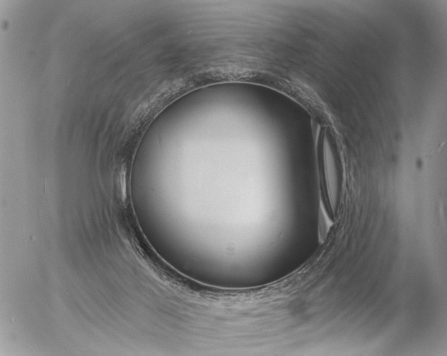 X0000057090021200509231701