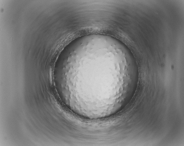 X0000057090022200509231701