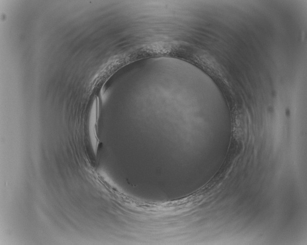 X0000057090023200509231701