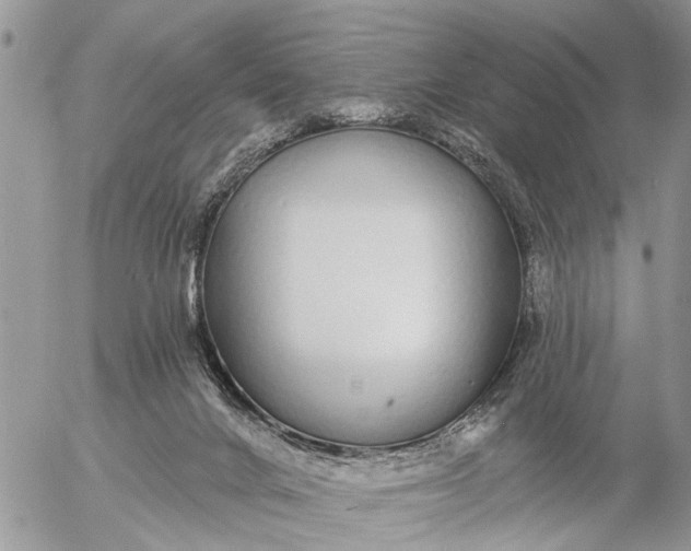 X0000057090024200509231701