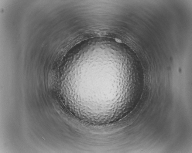 X0000057090030200509231701