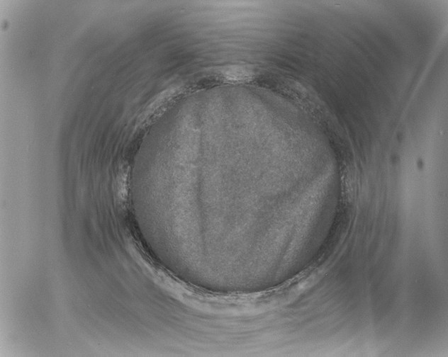 X0000057090032200509231701