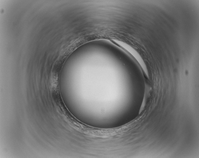 X0000057090033200509231701