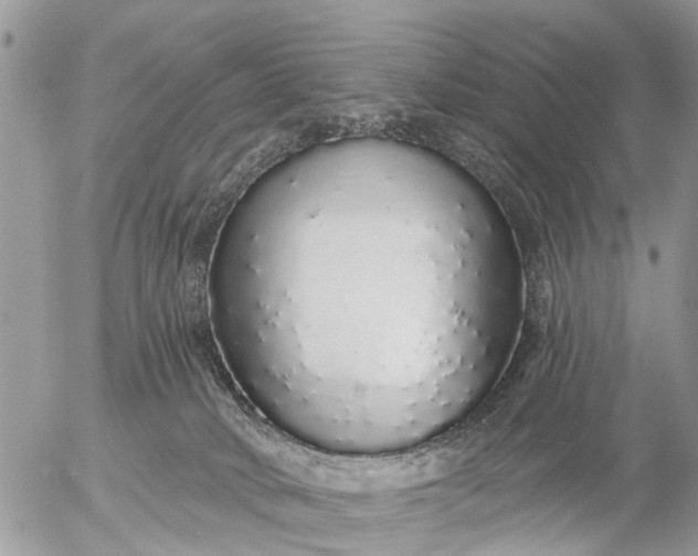 X0000057090034200509231701