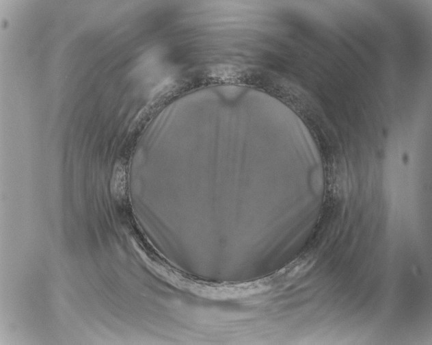 X0000057090036200509231701