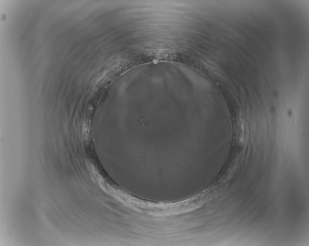 X0000057090039200509231701