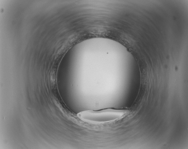 X0000057090040200509231701