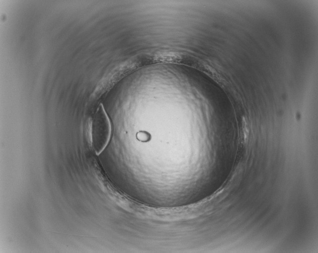 X0000057090041200509231701