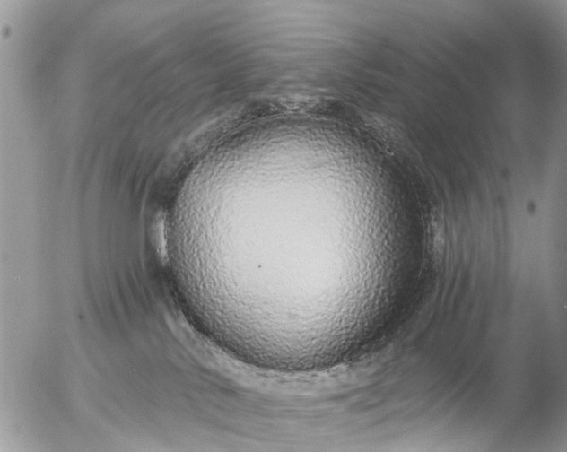 X0000057090042200509231701