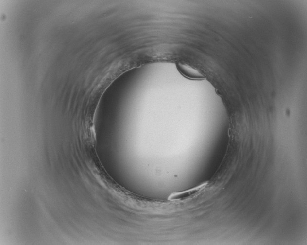 X0000057090044200509231701