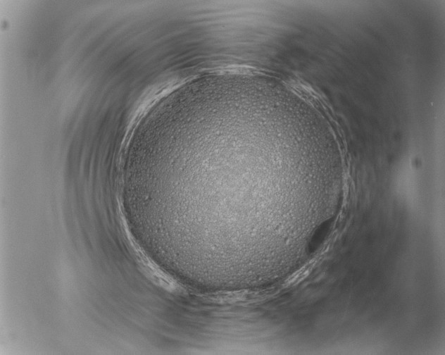 X0000057090049200509231700