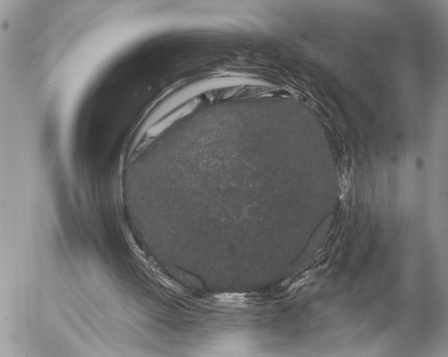 X0000057090052200509231700