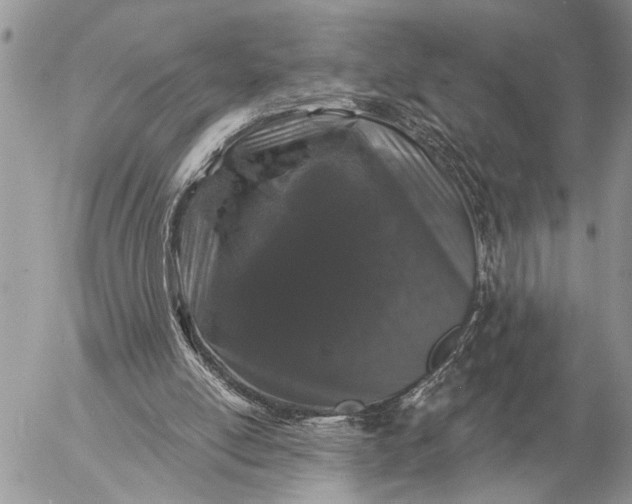 X0000057090054200509231700