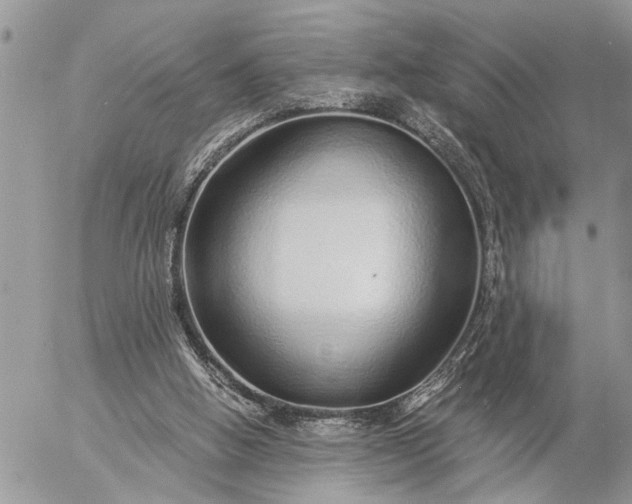 X0000057090058200509231700