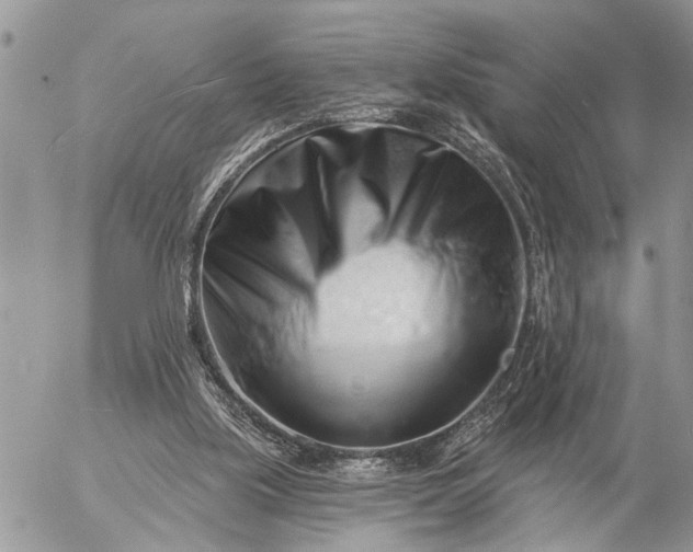 X0000057090059200509231700