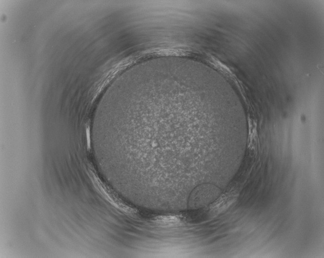 X0000057090061200509231700