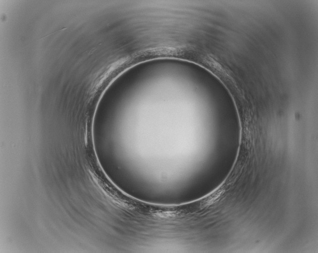 X0000057090062200509231700